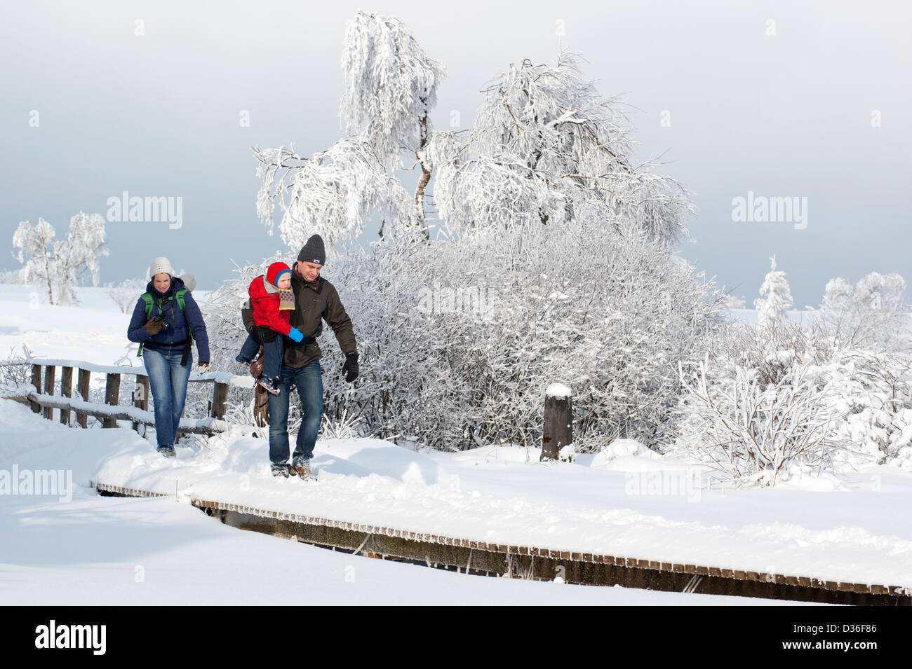 Famiglia con bambino camminare sul lungomare nella neve in moro a riserva naturale Hautes Fagnes / Hautes Fagnes in inverno, Belgio Foto Stock