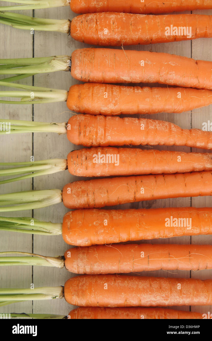 Freschi carote prelevate in una riga Foto Stock
