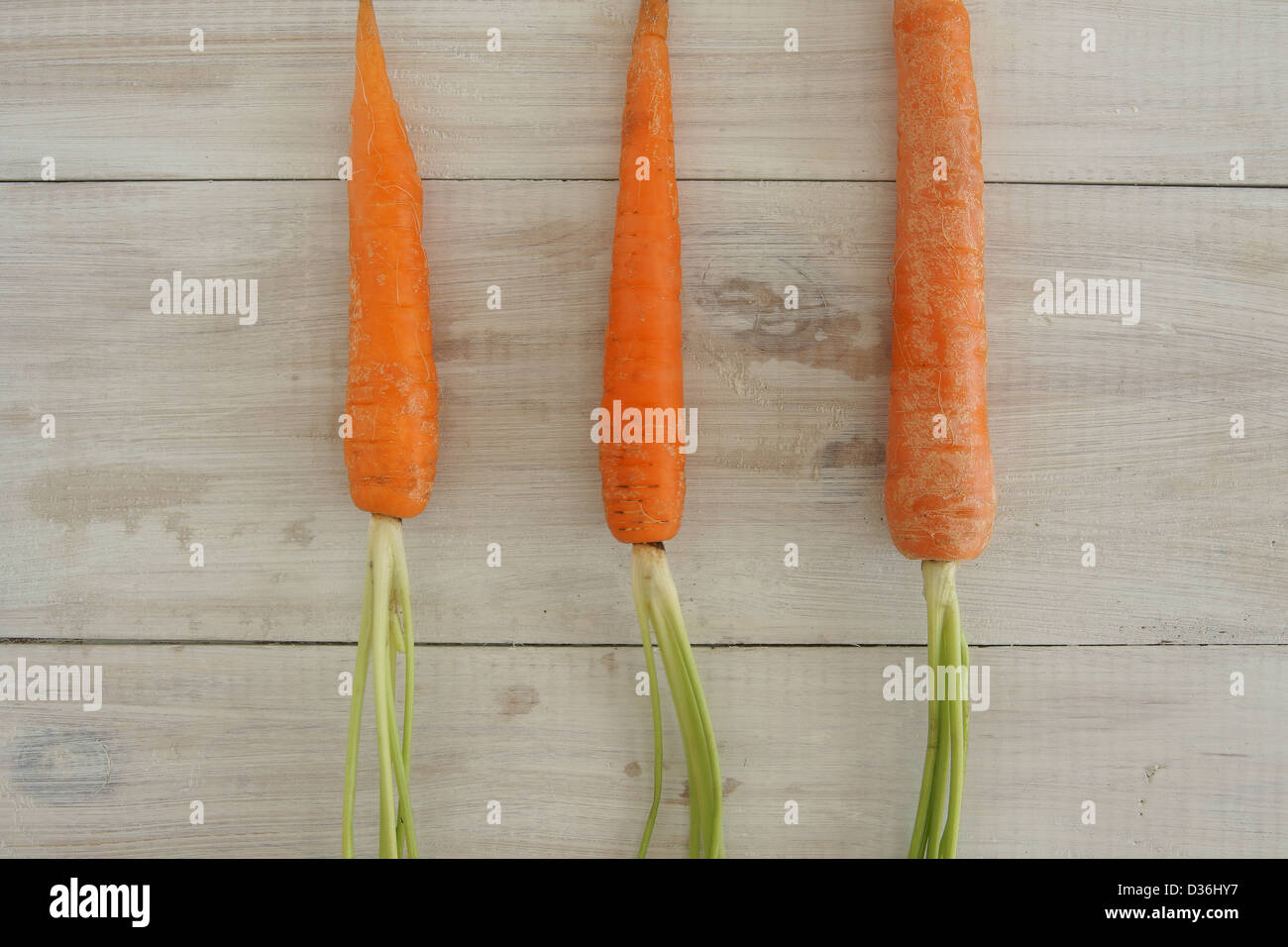 Freschi carote prelevate in una riga Foto Stock
