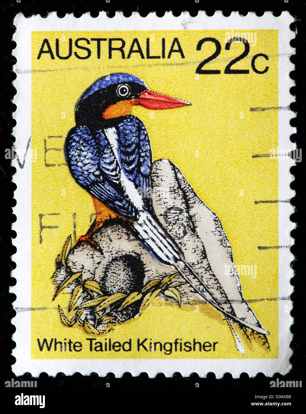 White Tailed Kingfisher, francobollo, Australia, 1980 Foto Stock