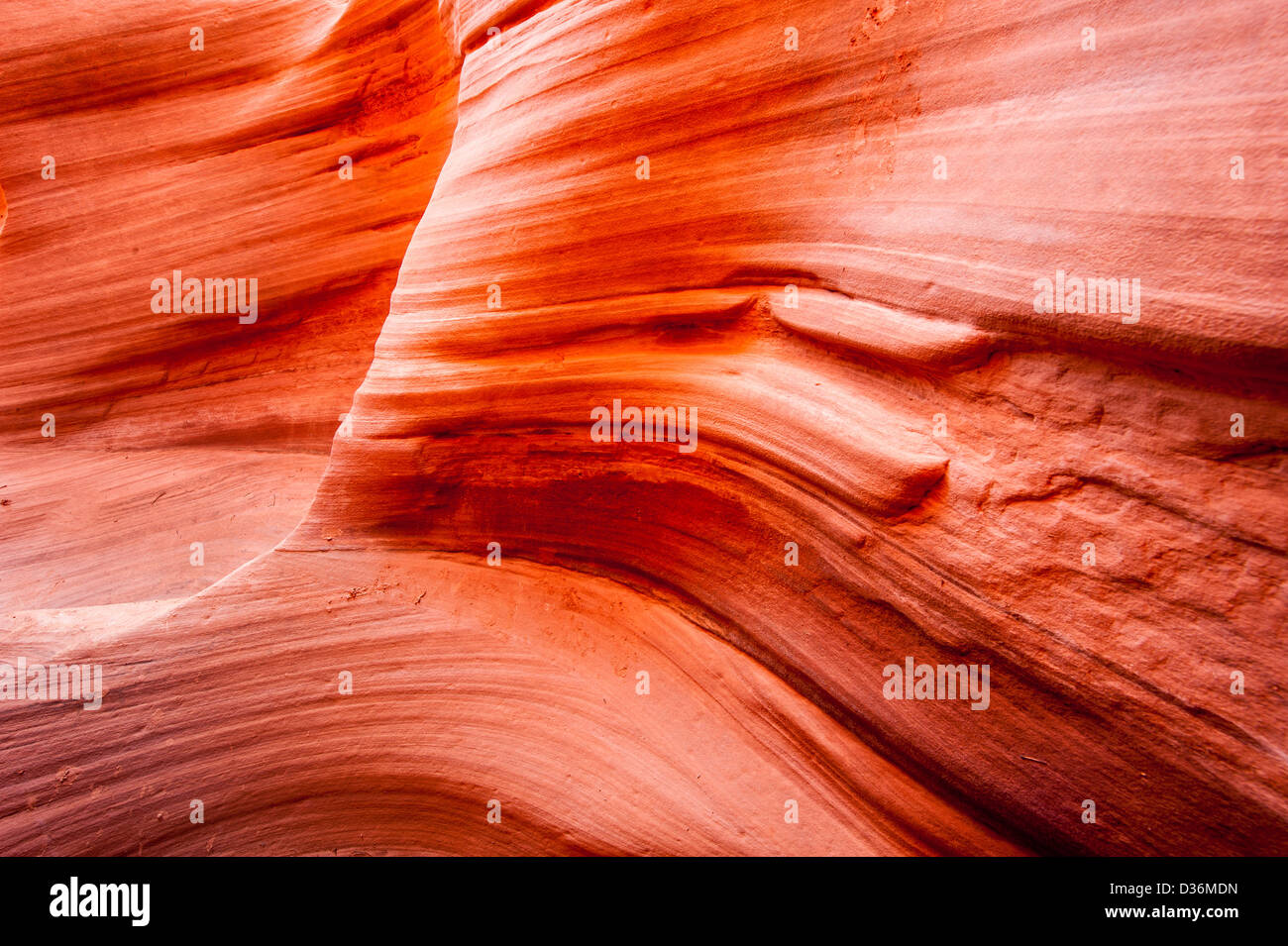 Peek-a-boo canyon slot, il foro in una Rock road, la grande scala monumento nazionale, Utah, Stati Uniti d'America Foto Stock