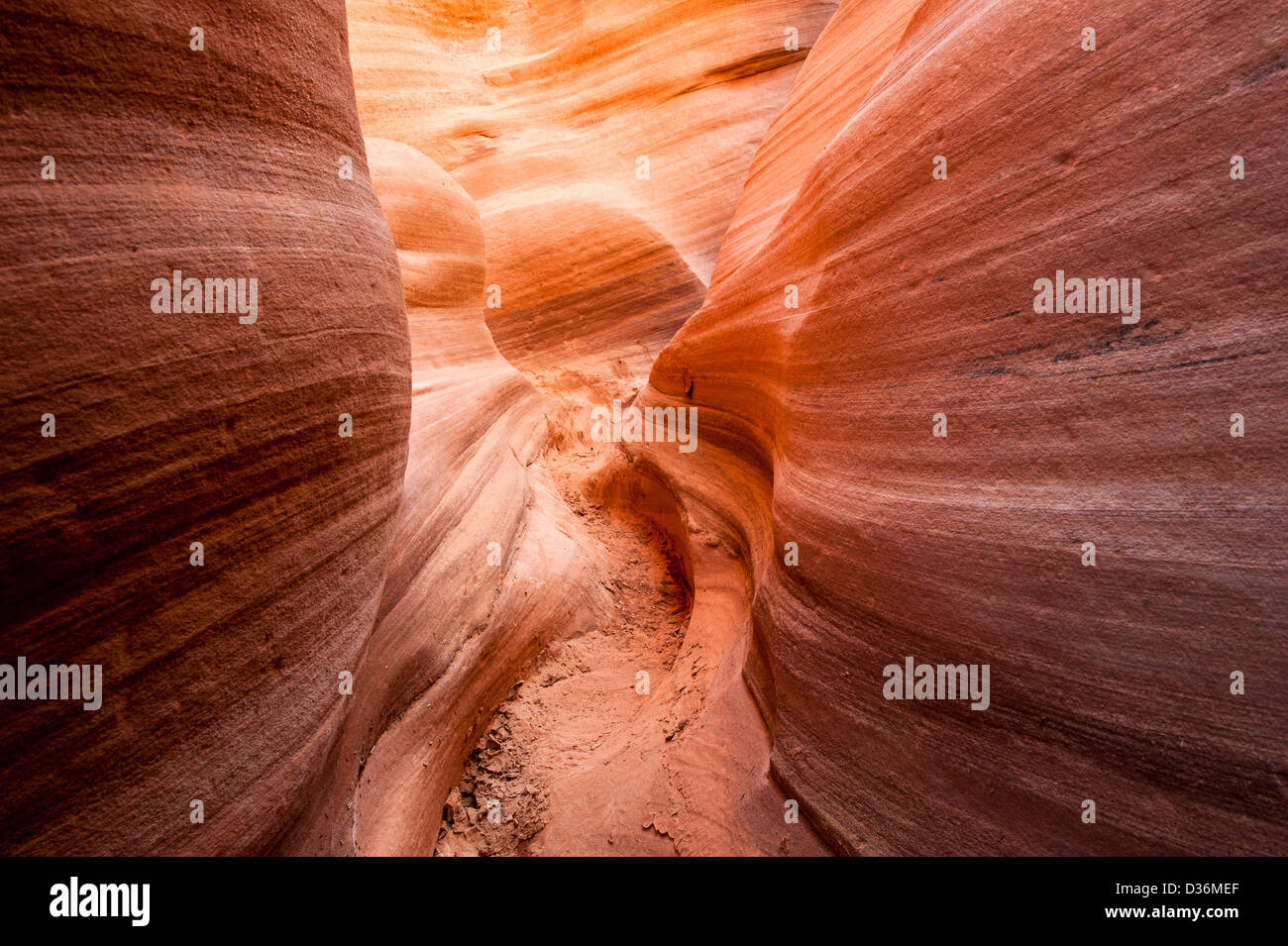 Peek-a-boo canyon slot, il foro in una Rock road, la grande scala monumento nazionale, Utah, Stati Uniti d'America Foto Stock