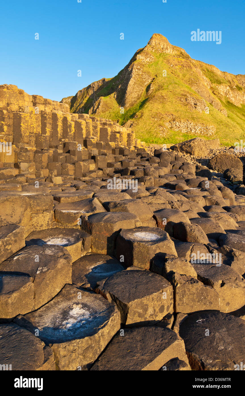 Hexangonal colonne di basalto dei Giganti Causeway nord costa di Antrim County Antrim Irlanda del Nord GB UK EU Europe Foto Stock