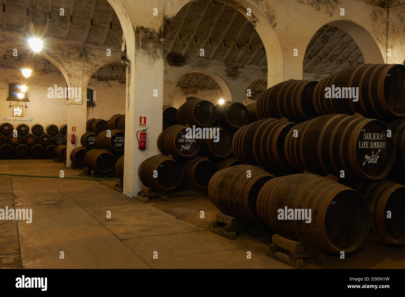 Montilla, Perez Barquero Cantina, Montilla-Moriles percorso vinicolo, Cordoba, Andalusia, Spagna Foto Stock