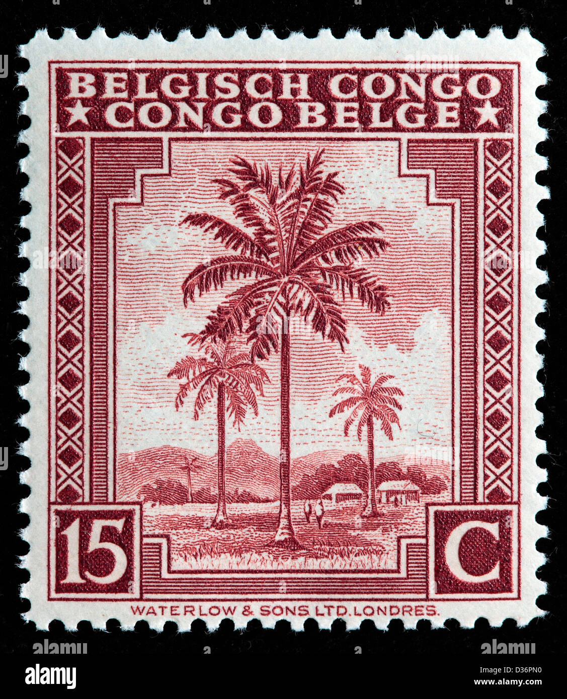 Palme da olio, francobollo, Congo Belga, 1942 Foto Stock