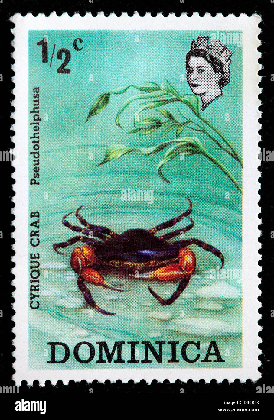 Cyrique granchio, pseudothelphusa, francobollo, Dominica, 1970 Foto Stock