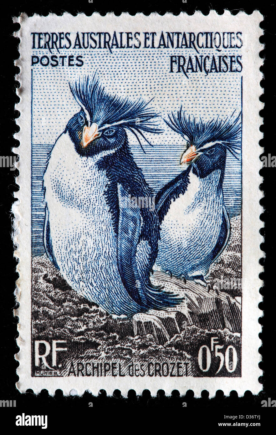 Pinguini saltaroccia, Crozet arcipelago, francobollo, Terre australi e antartiche francesi, 1956 Foto Stock