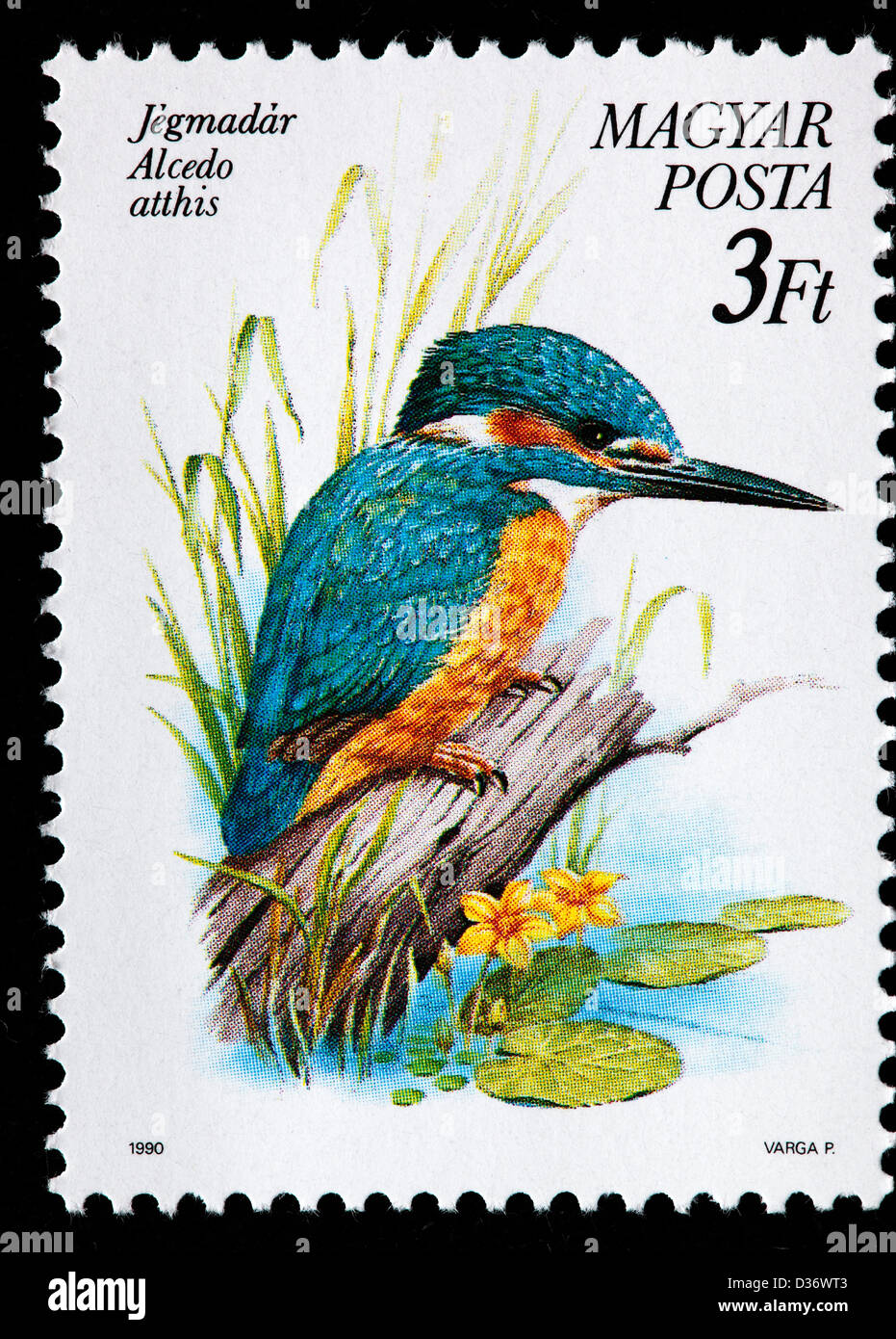 Eurasian Kingfisher o fiume Kingfisher (Alcedo atthis), francobollo, Ungheria, 1990 Foto Stock