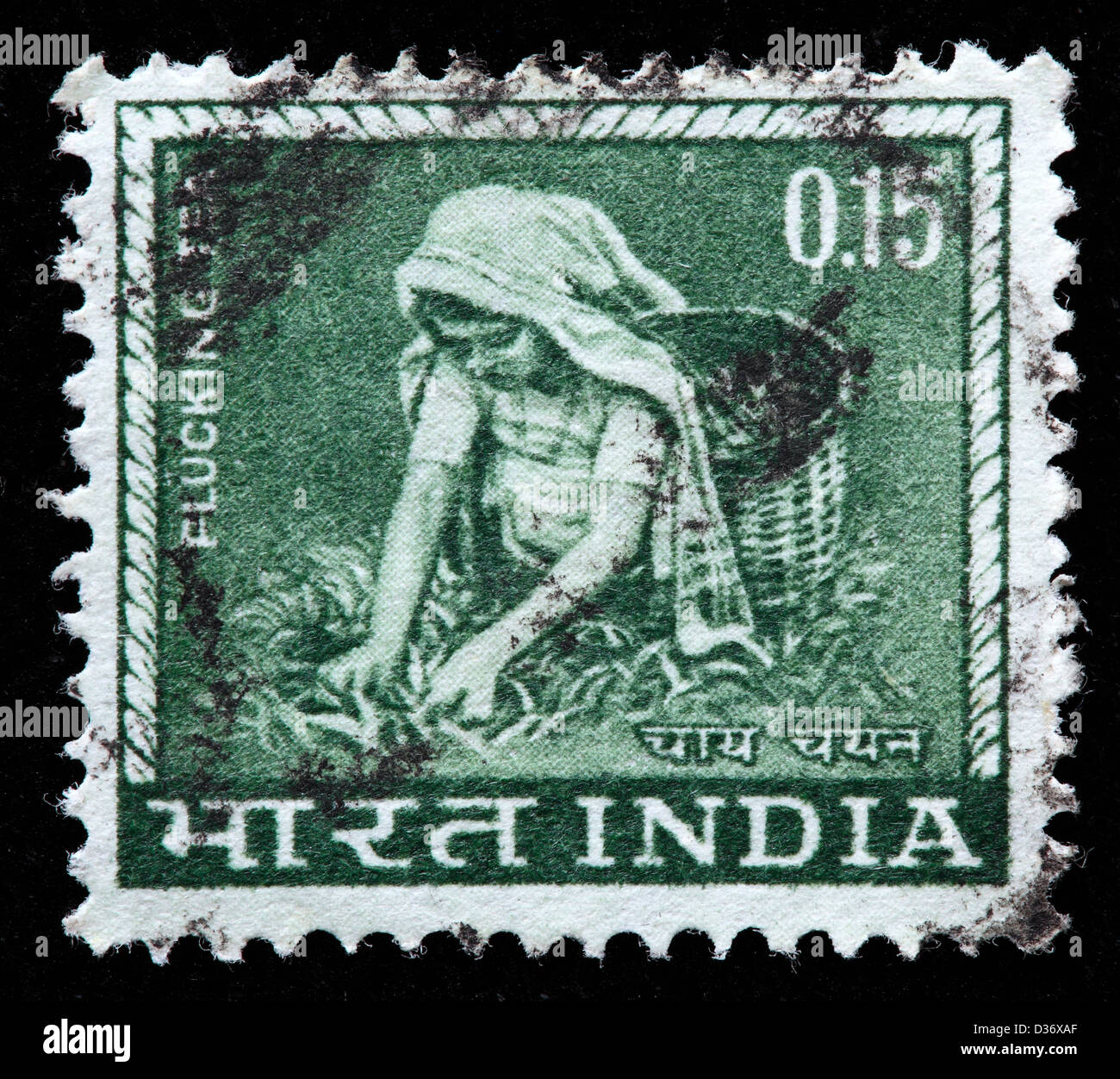 Raccolta di tè, francobollo, India, 1965 Foto stock - Alamy