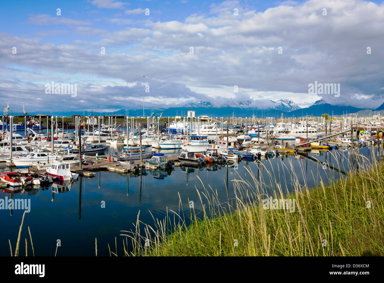 Charter e commerciale di pesca le barche nel porto, Omero, Alaska, STATI UNITI D'AMERICA Foto Stock