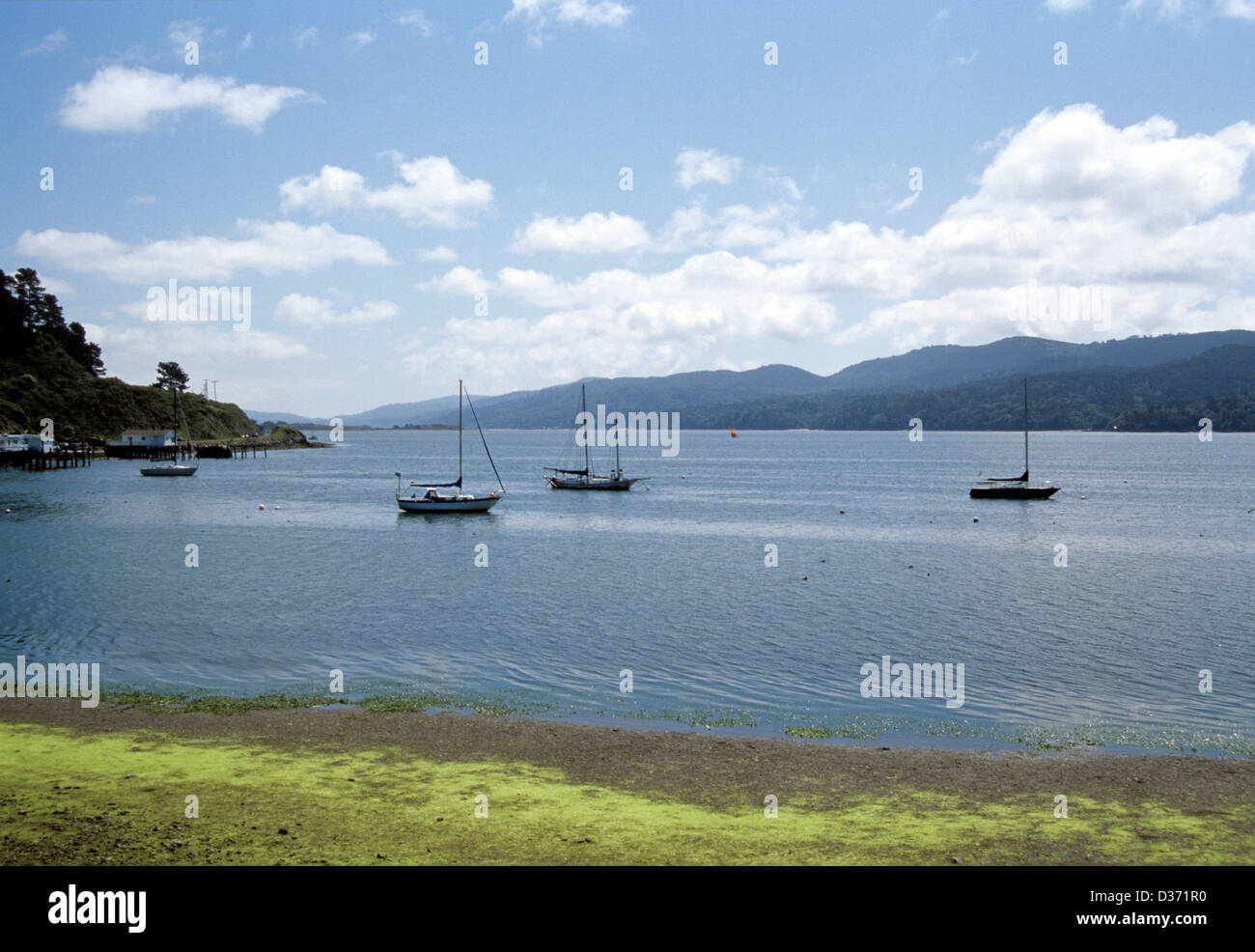 Barche al di ancoraggio nei pressi di marshalling su Tomales Bay in primavera con inverness inb sullo sfondo Foto Stock