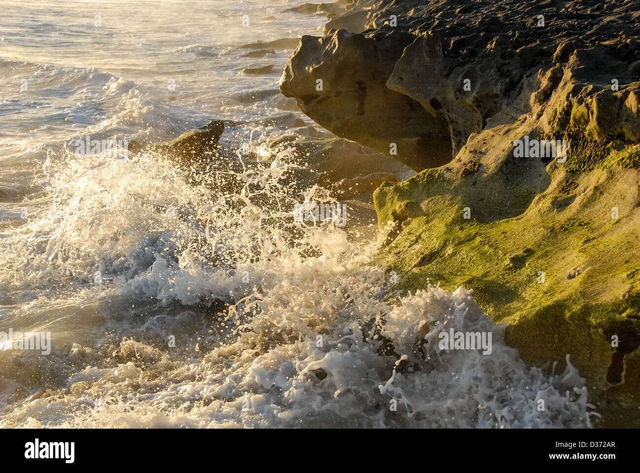 Gli spruzzi delle onde nella prima luce del tramonto a rocce di soffiaggio conservare su Giove isola nel sud della Florida. Stati Uniti d'America. Foto Stock