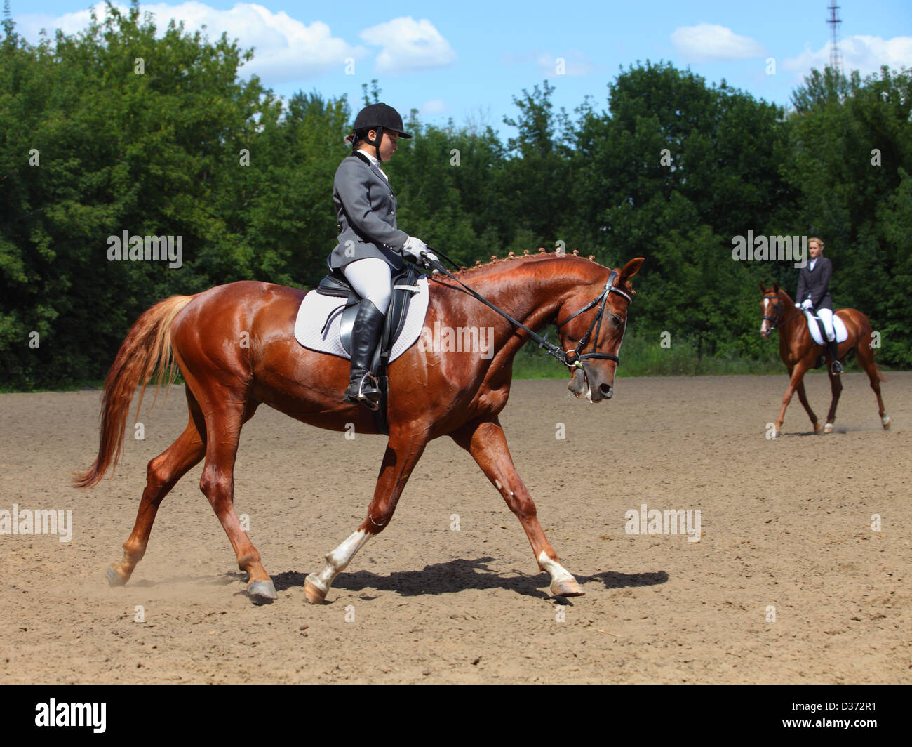 Equitazione e cavallo in un concorso dressage Foto Stock