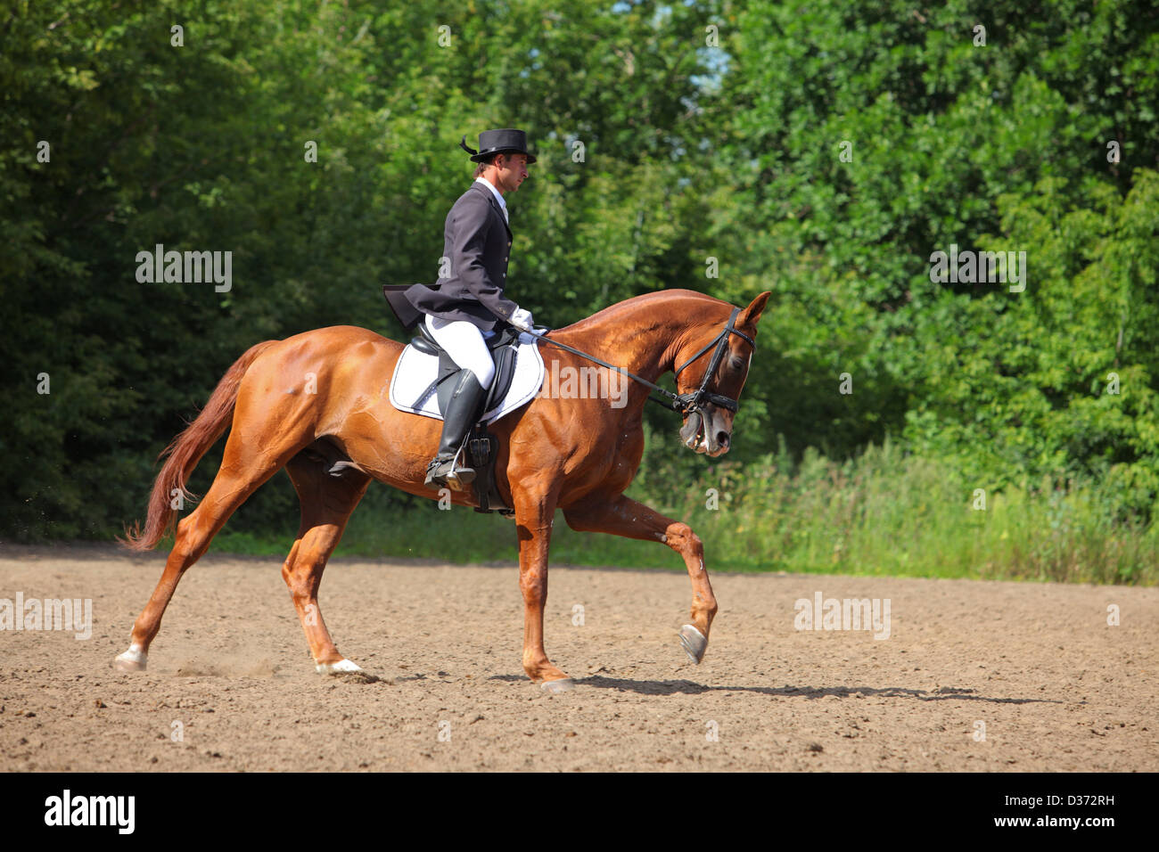 Equitazione e cavallo in un concorso dressage Foto Stock