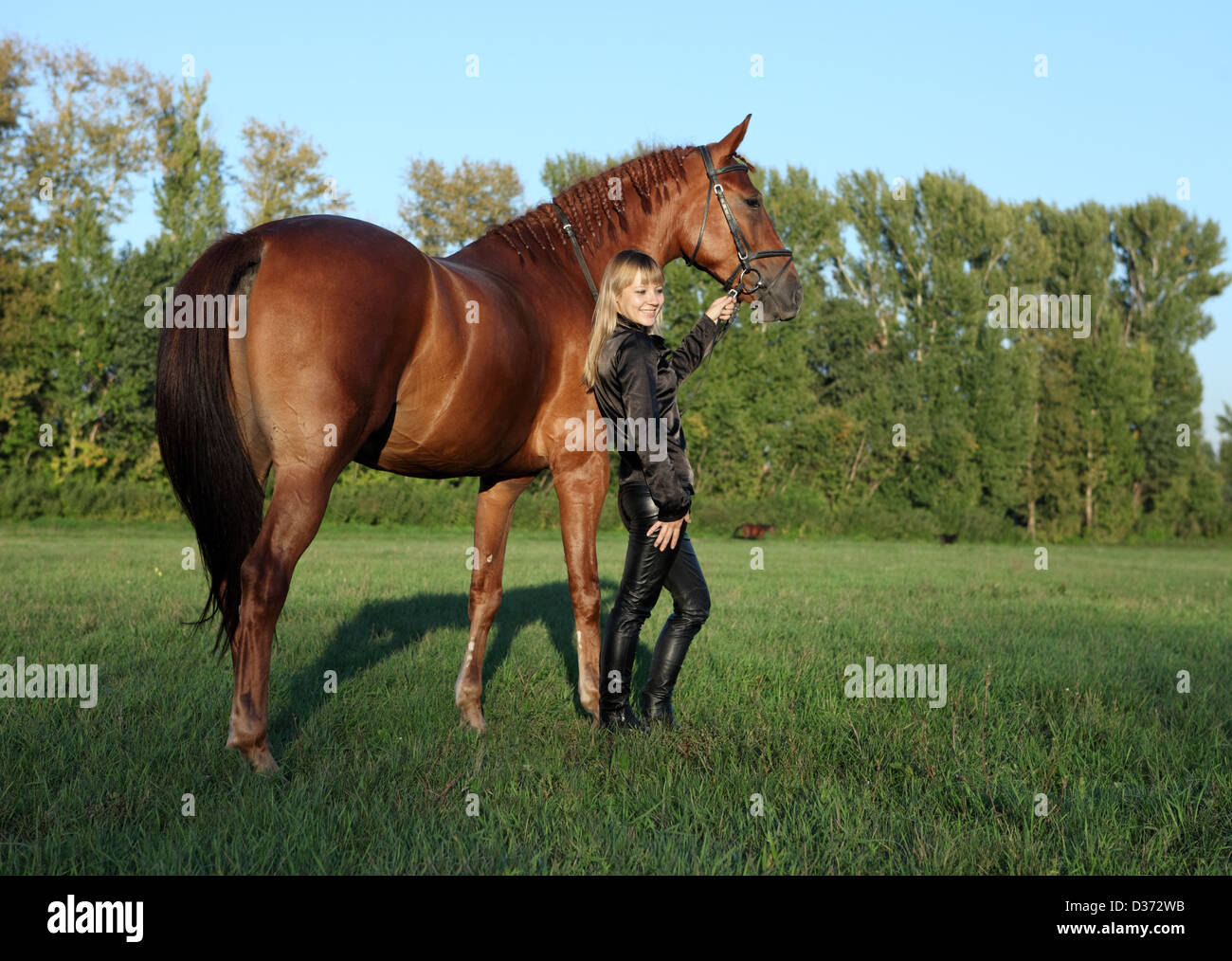 Felice giovane donna e il suo migliore amico bay stallone Foto Stock
