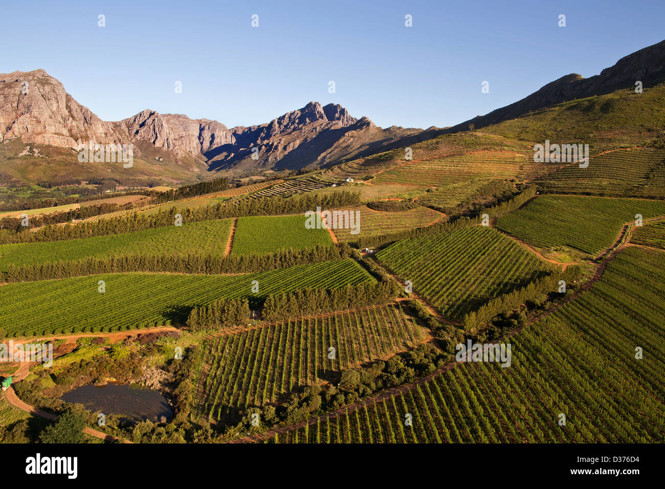 Paesaggi di Cape Winelands e vigneti nella Western Cape Foto Stock