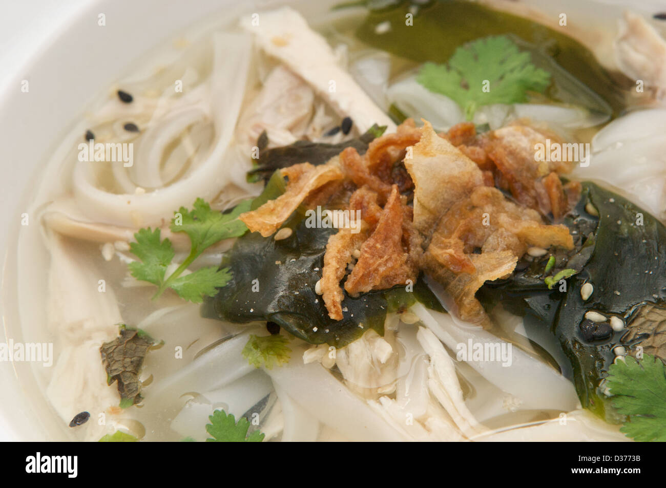 Zuppa di noodle al pollo con wakame e cipolla croccante servita in una ciotola bianco Foto Stock