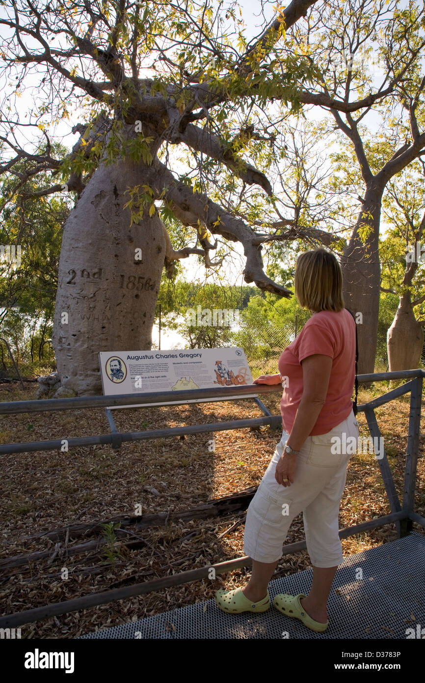 Boab tree, Gregorio, il Parco Nazionale del Territorio del Nord, l'Australia Foto Stock