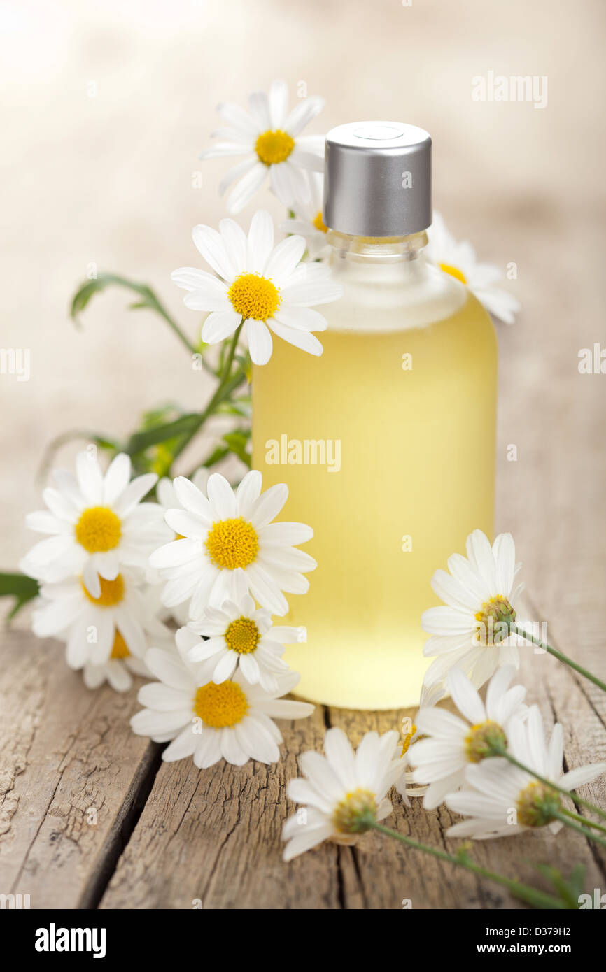 Olio essenziale e i fiori di camomilla Foto Stock