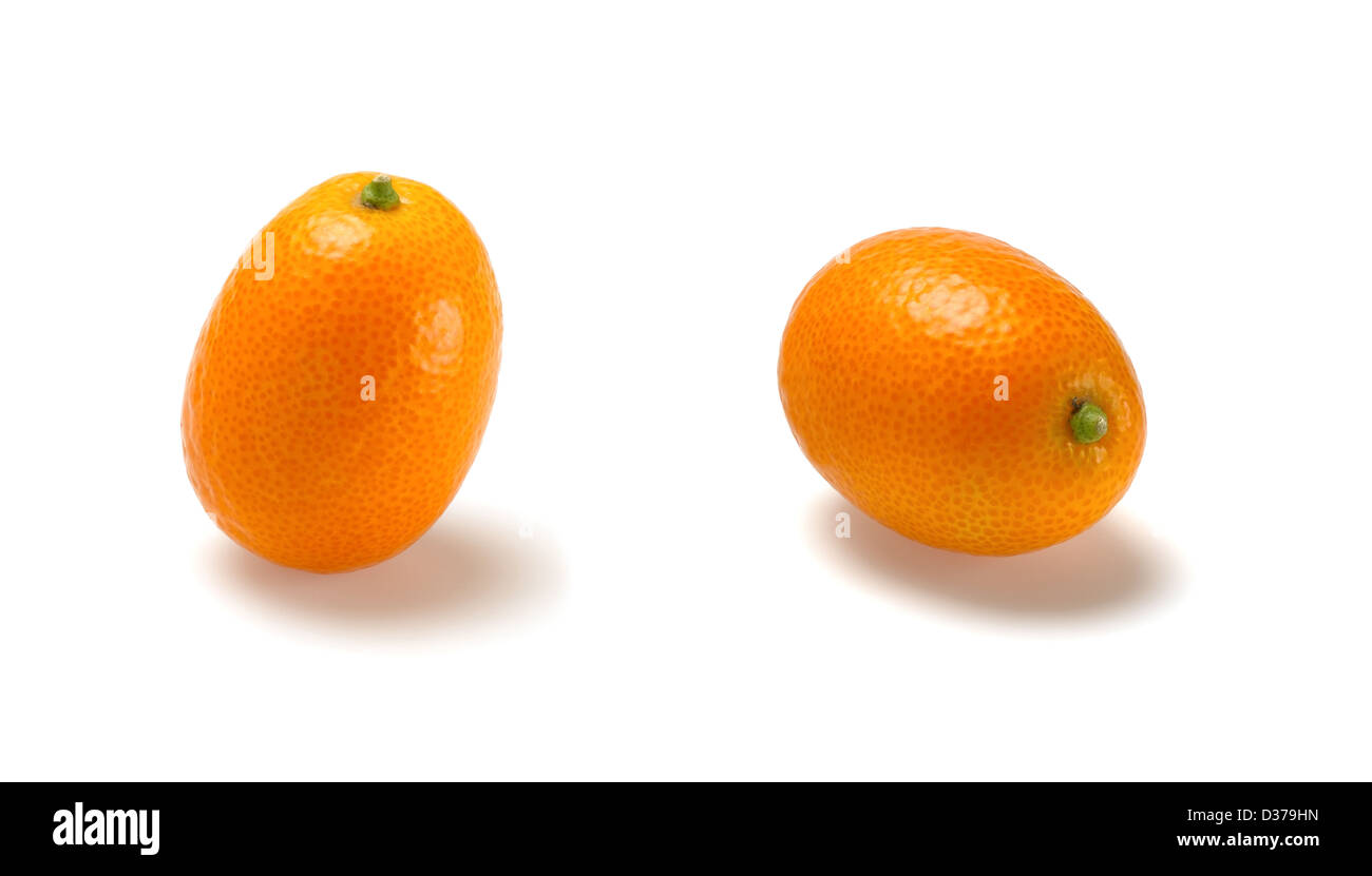 Kumquat Foto Stock