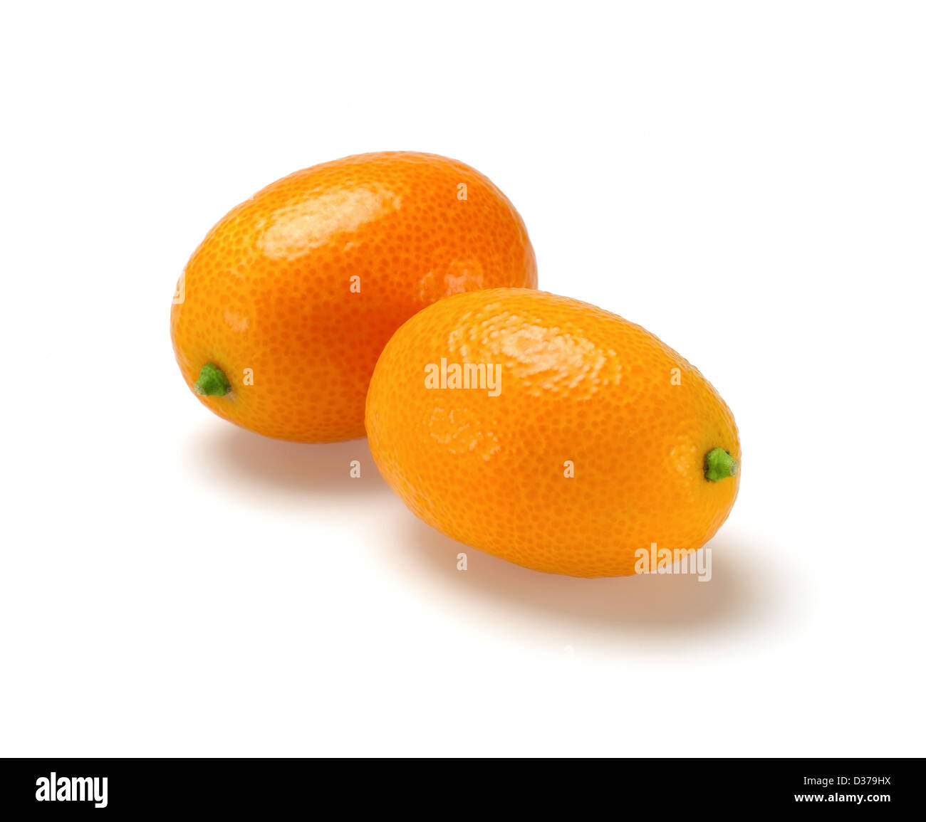 Kumquat Foto Stock