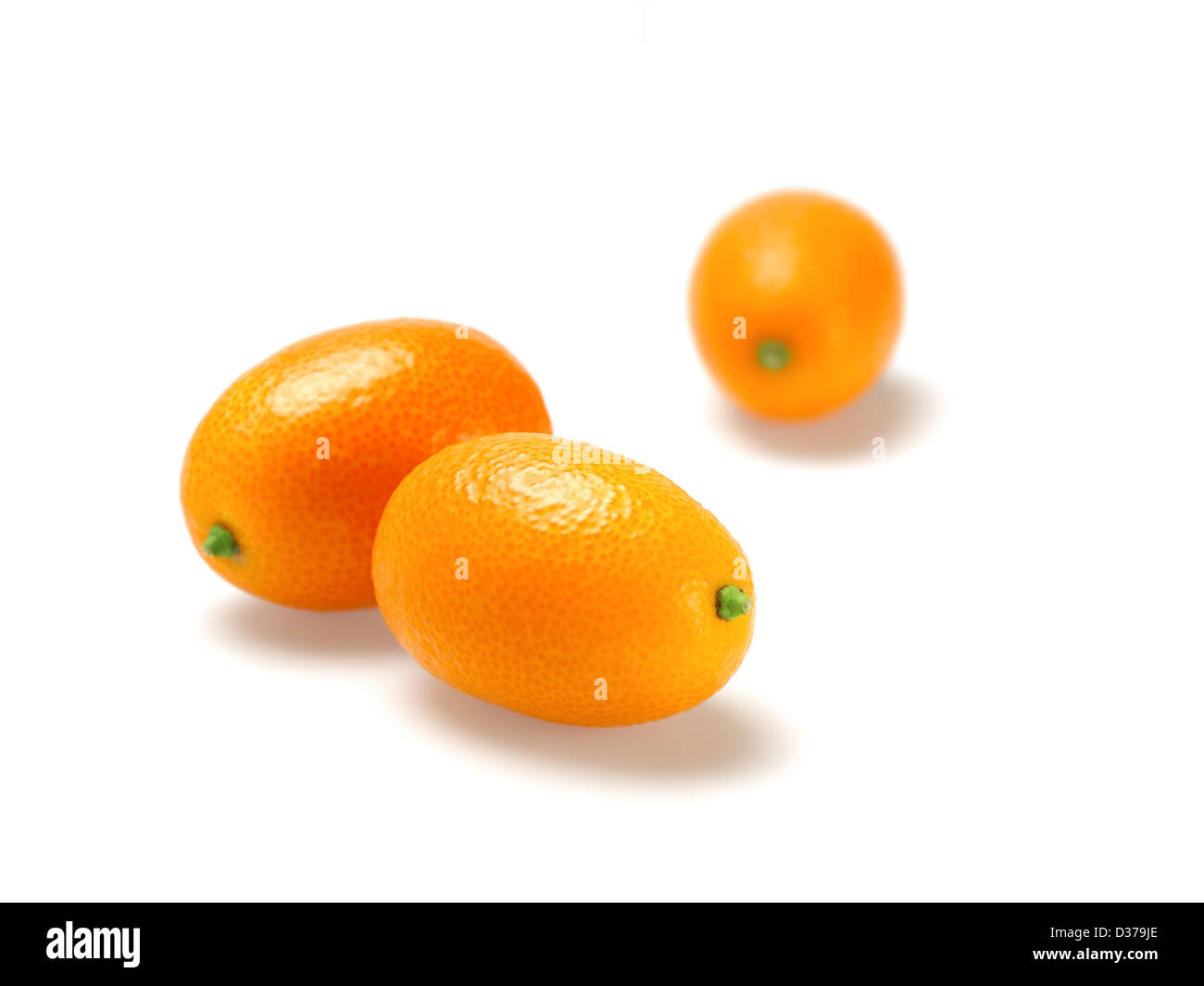 Kumquat Foto Stock