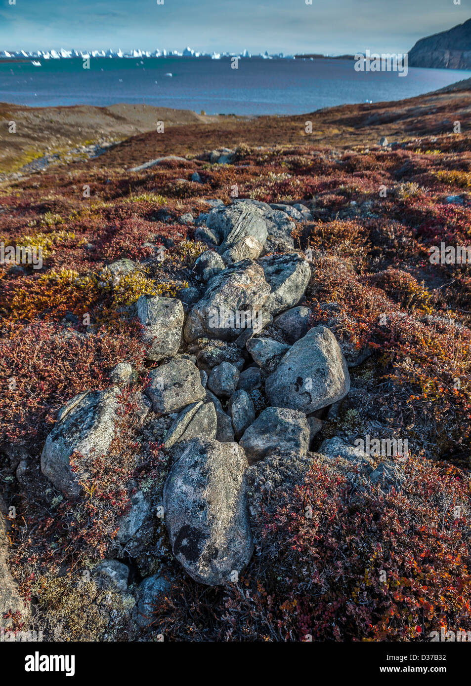 In autunno la tundra paesaggio, Scoresbysund, Groenlandia Foto Stock