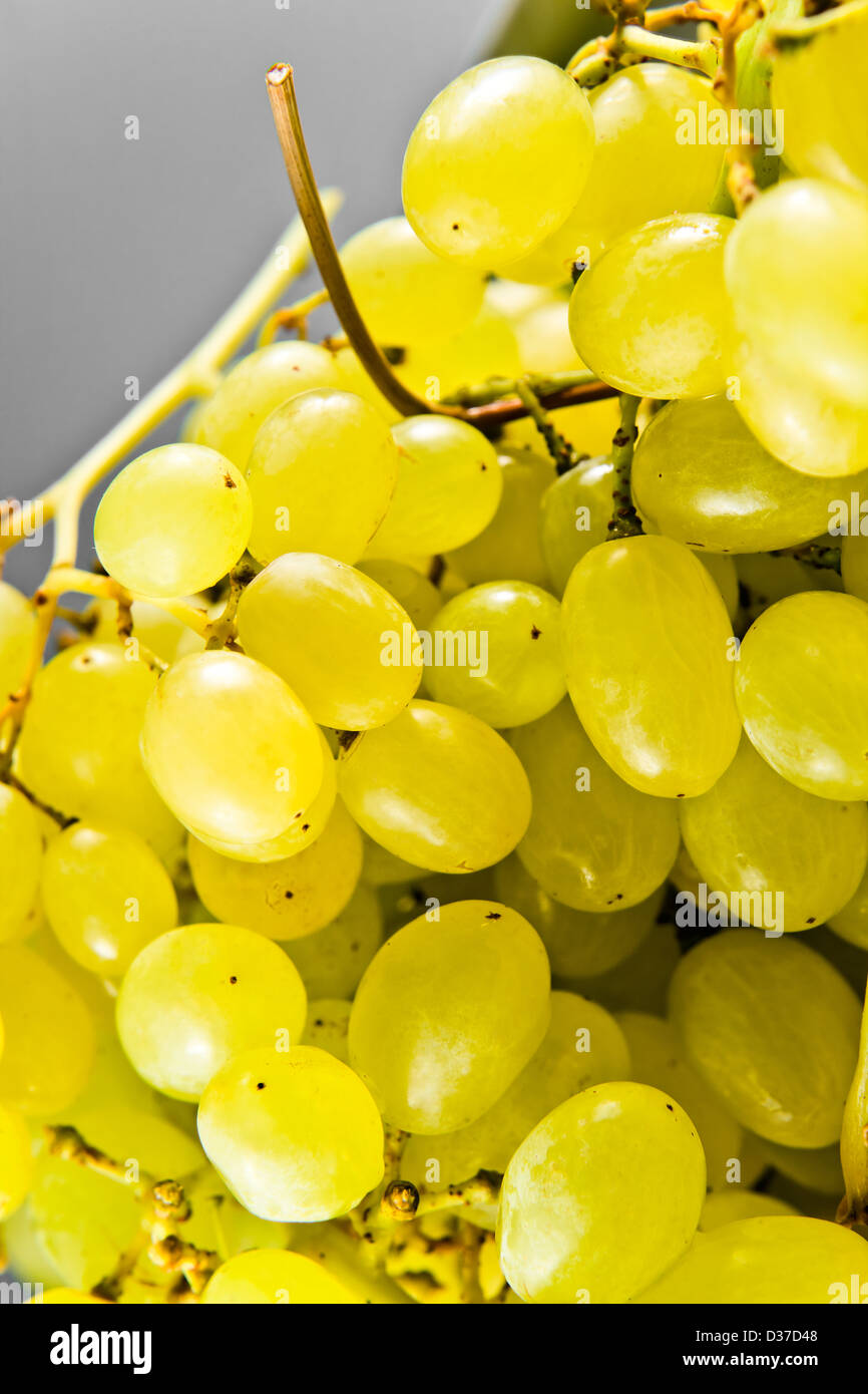 Close-up di un grappolo di uva matura. Foto Stock