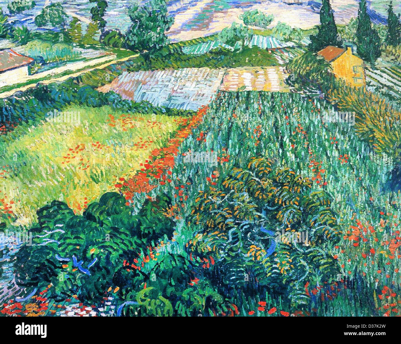 campo di papaveri van gogh