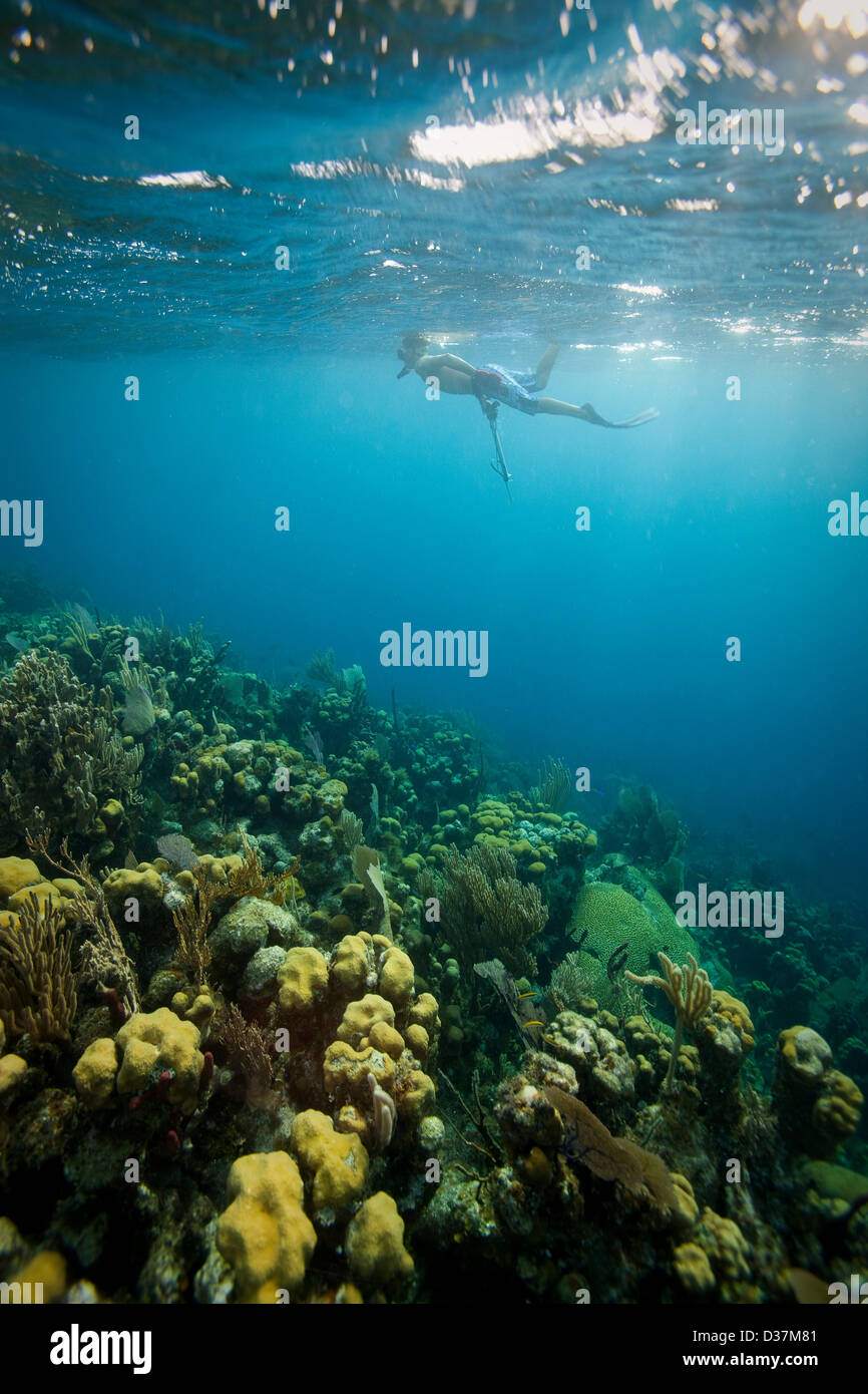 L uomo lo snorkeling su tropical Coral reef Foto Stock