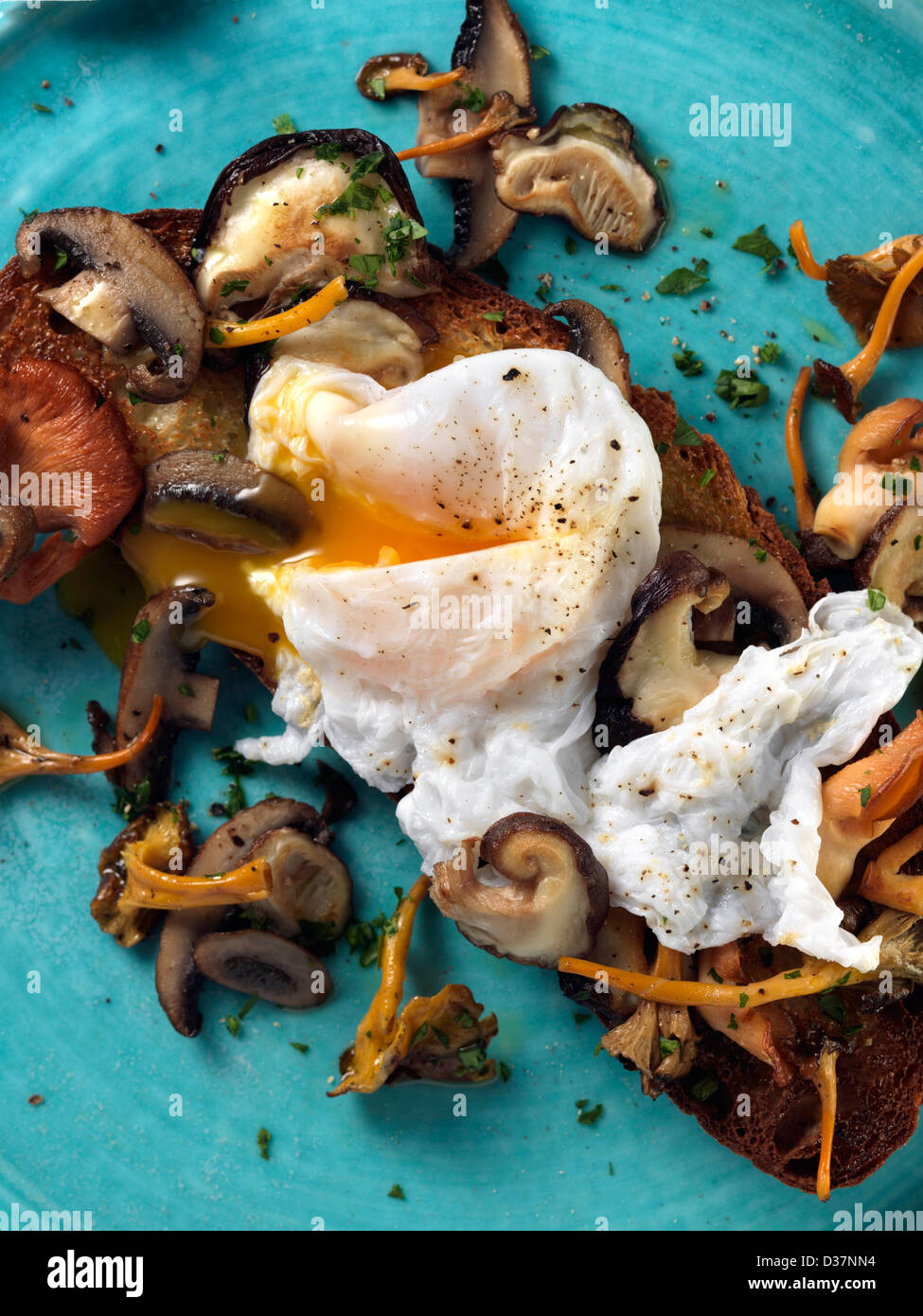 In camicia uova di anatra su un letto di funghi selvatici su una fetta di pane abbrustolito San Francisco del pane di pasta acida Foto Stock