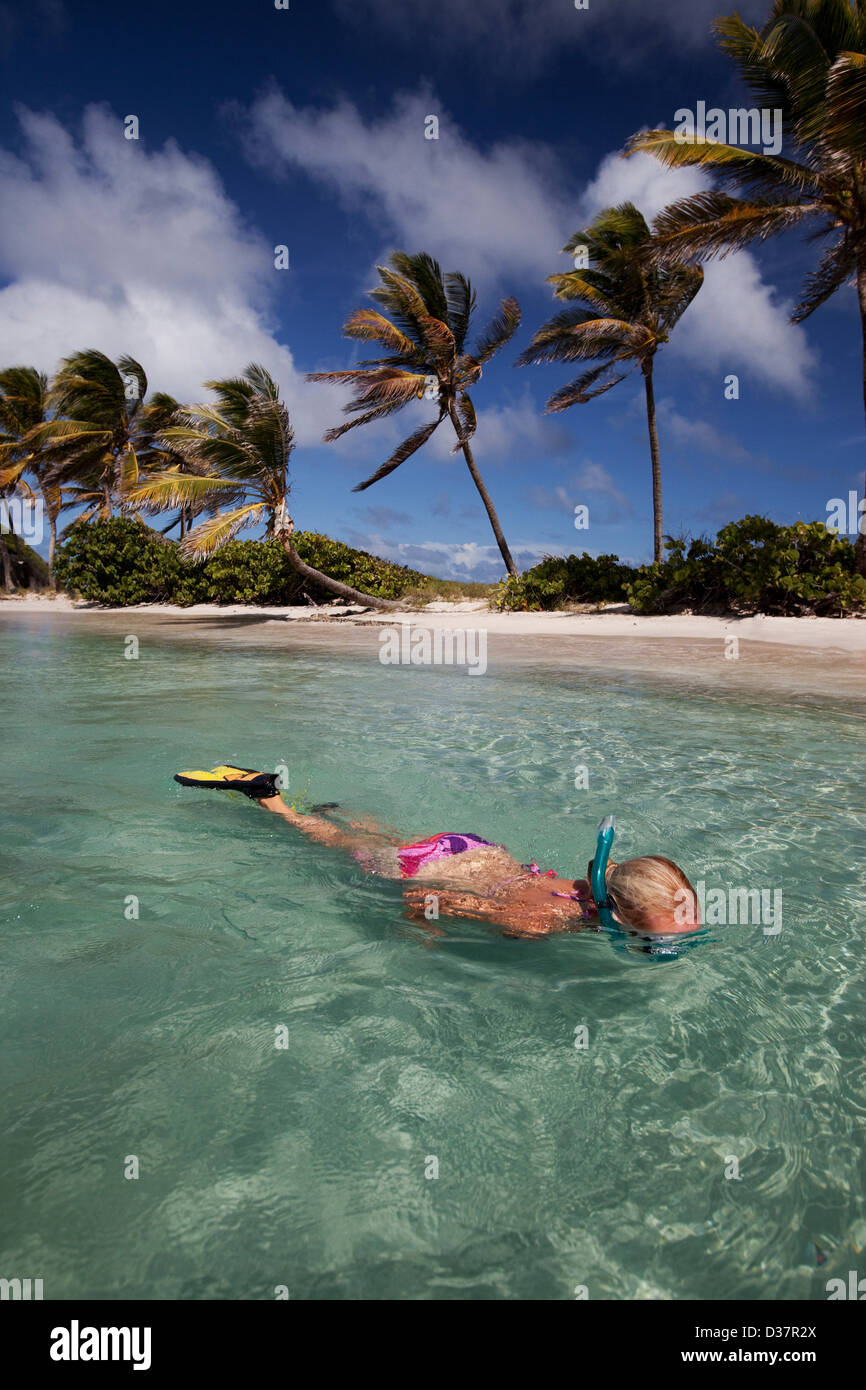 La donna lo snorkeling in acque tropicali Foto Stock