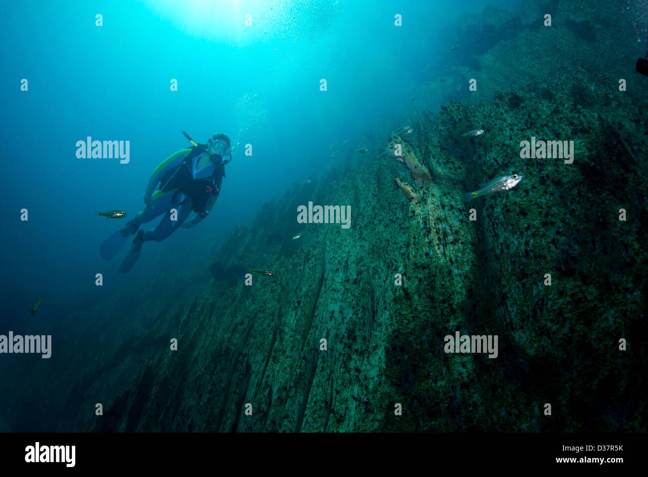 I subacquei La Barracuda lago, una attrazione turistica per gli amanti della natura e i sommozzatori, riserva naturale di Coron, Isole Calamian, PALAWAN FILIPPINE, Asia Foto Stock