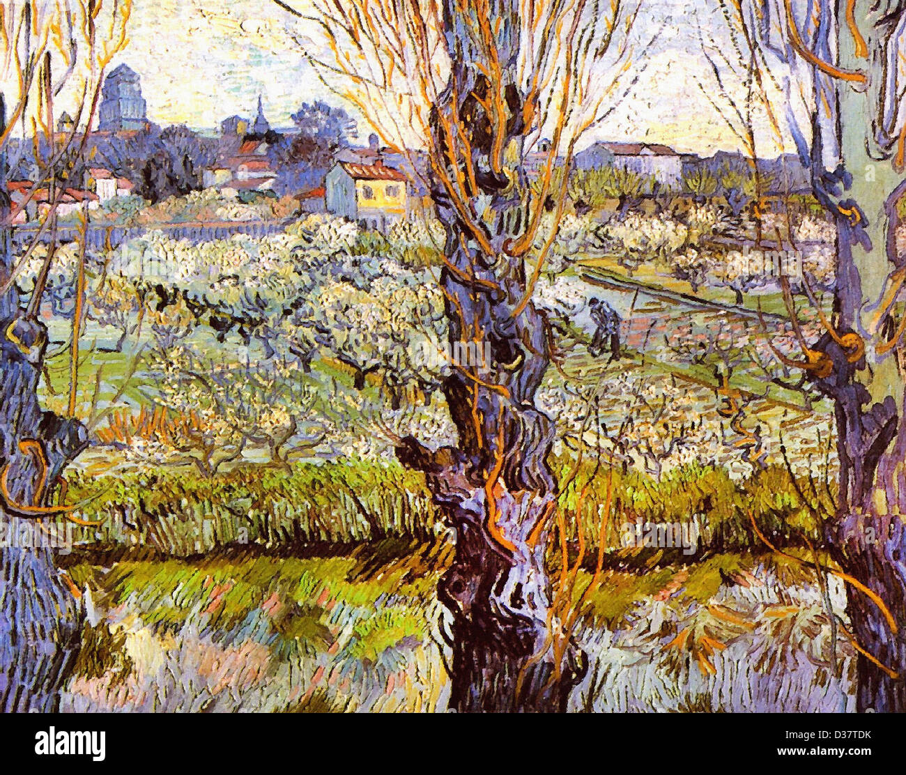 Vincent van Gogh, per frutteti in fiore con pioppi. 1889. Post-Impressionism. Olio su tela. Bayerische Staatsgemäldesammlungen Foto Stock