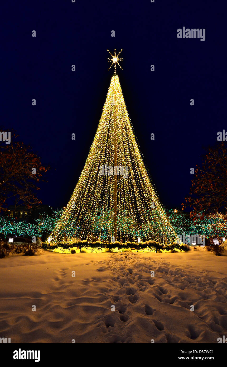 Albero di Natale fatto di incandescente luci calde con la neve Foto Stock