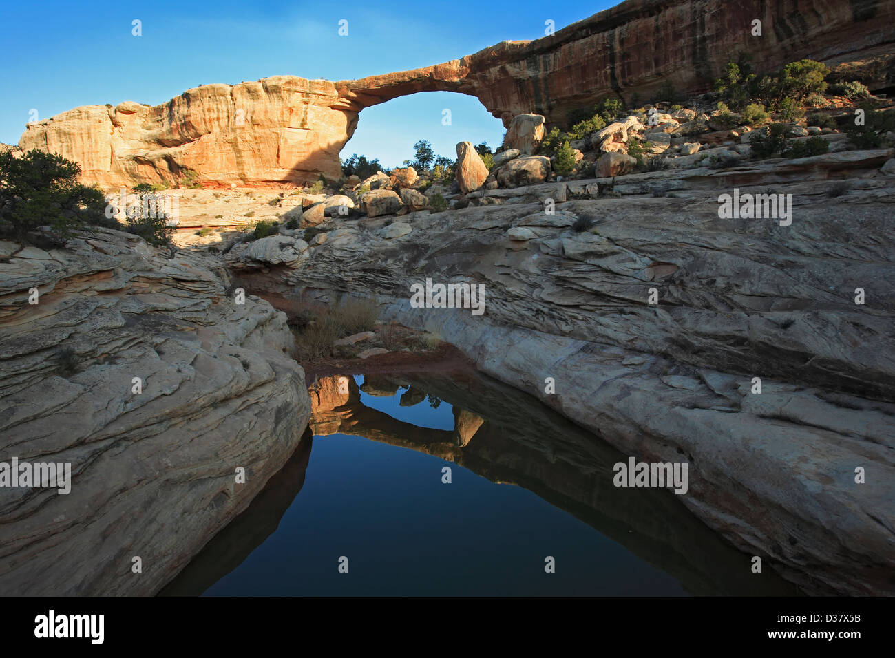 Ponte Owachomo riflesso in uno stagno, ponti naturali monumento nazionale, USA Utah Foto Stock