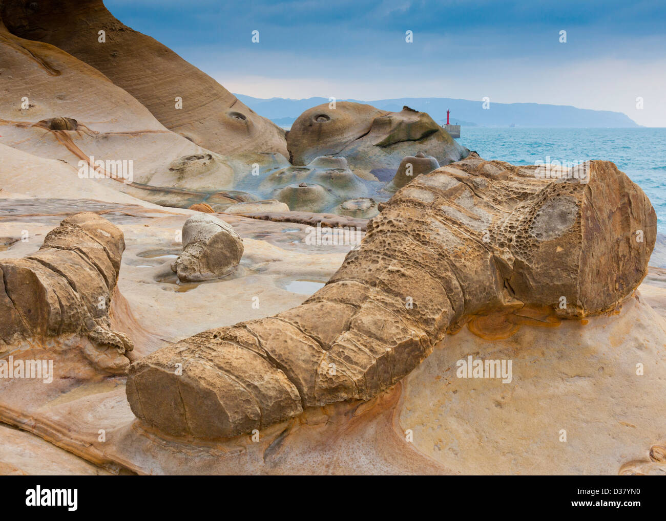 Formazione di roccia a yehliu geoparco nella forma di un elefante del tronco Foto Stock