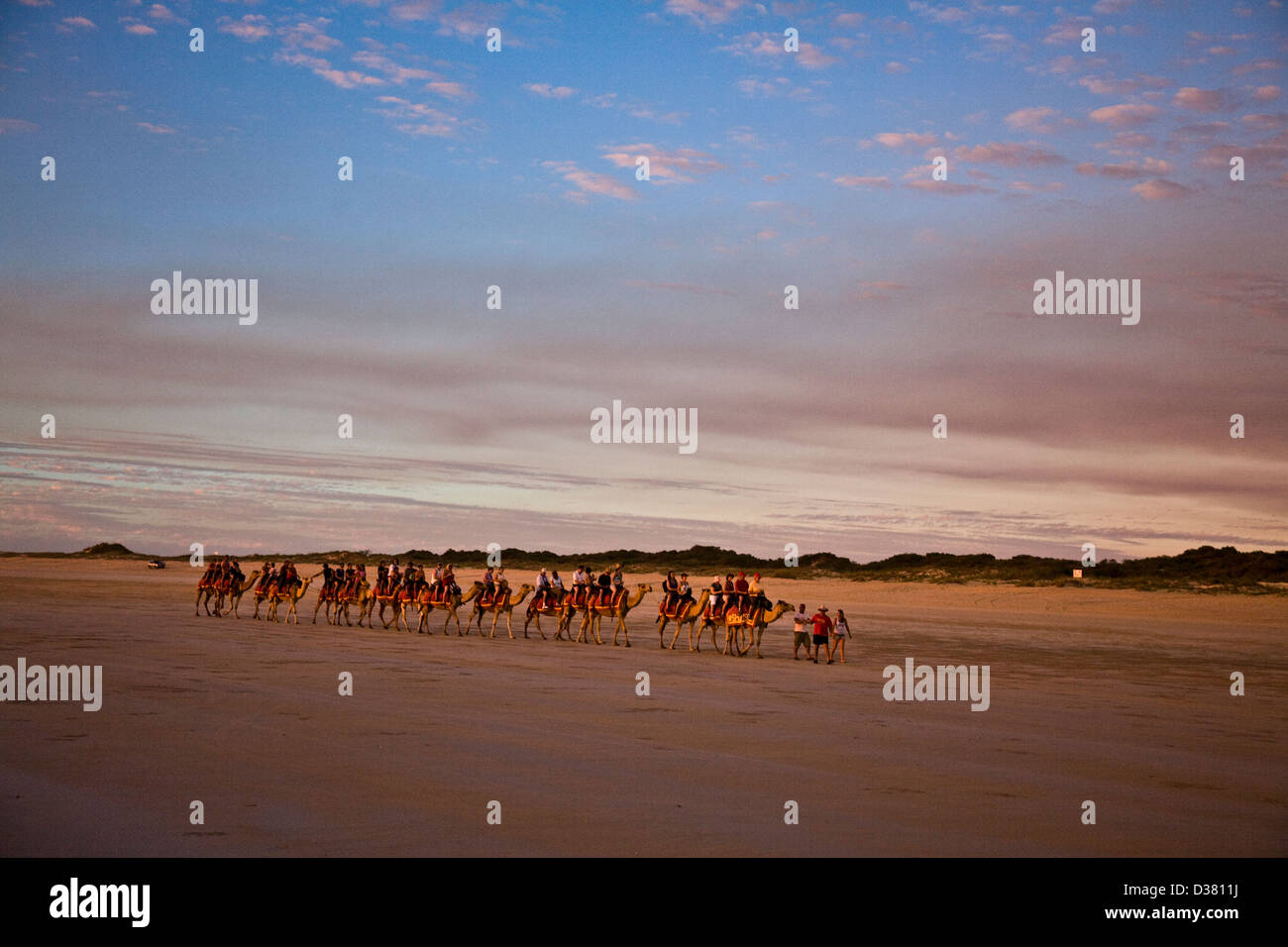 Una corsa in cammello sulla spiaggia di Cable -- sia presso l'alba o al tramonto -- è un visitatore la tradizione di BROOME, Western Australia. Foto Stock