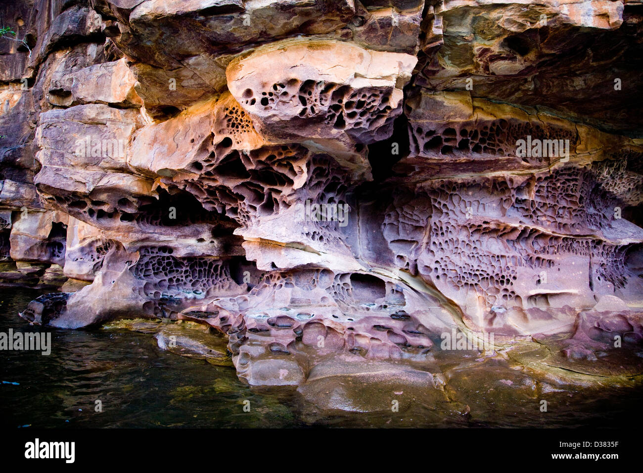 Antiche mura di pietra arenaria fodera Re Giorgio River sono state alterate mediante gli elementi in forme esotiche, Australia occidentale Foto Stock