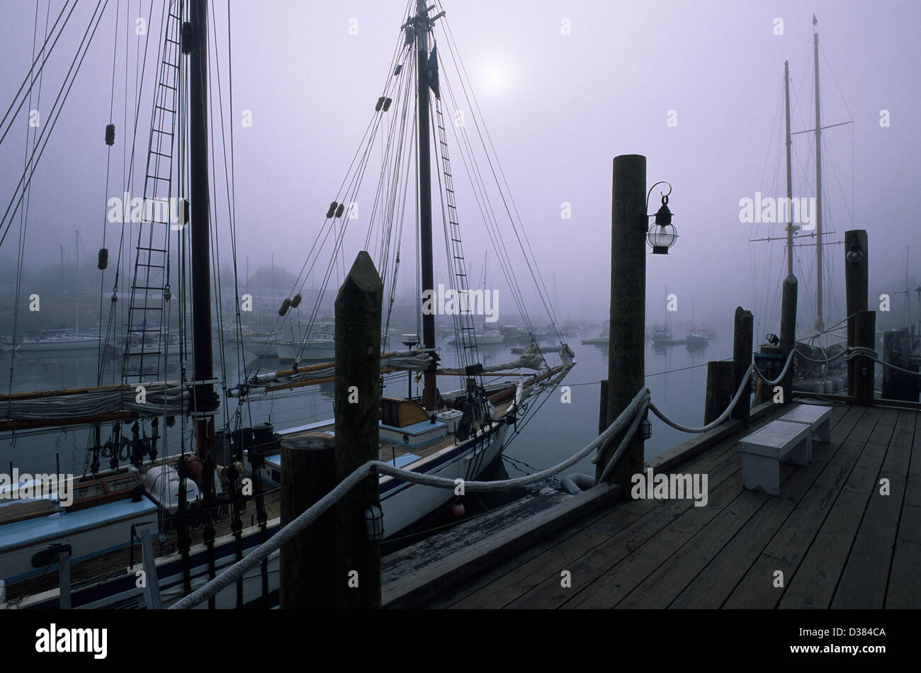 Elk282-1567 Maine, Camden, porto nella nebbia Foto Stock