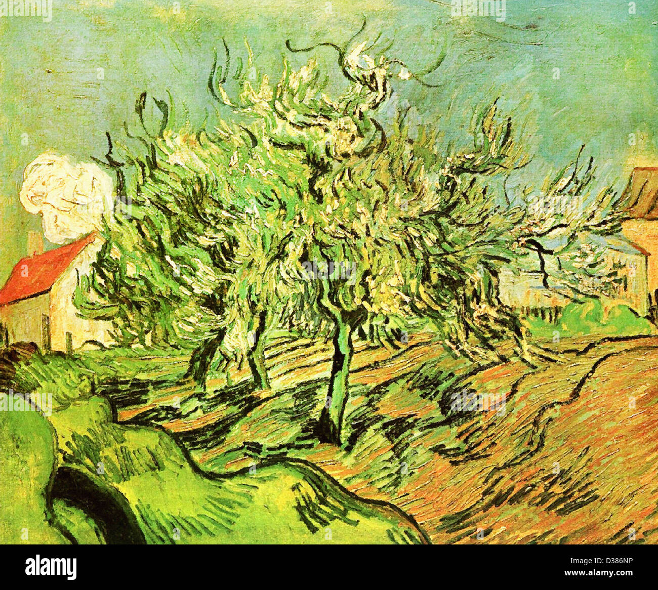 Vincent van Gogh, paesaggio con tre alberi e una casa. 1890. Post-Impressionism. Olio su tela. Rijksmuseum Kröller-Müller Foto Stock