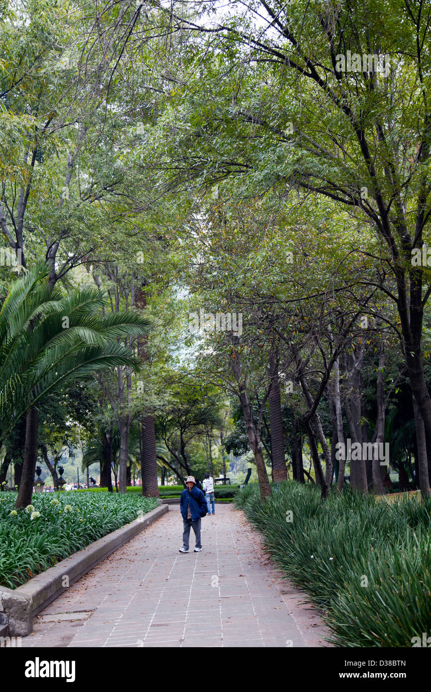 Il parco di Chapultepec a Città del Messico DF Foto Stock