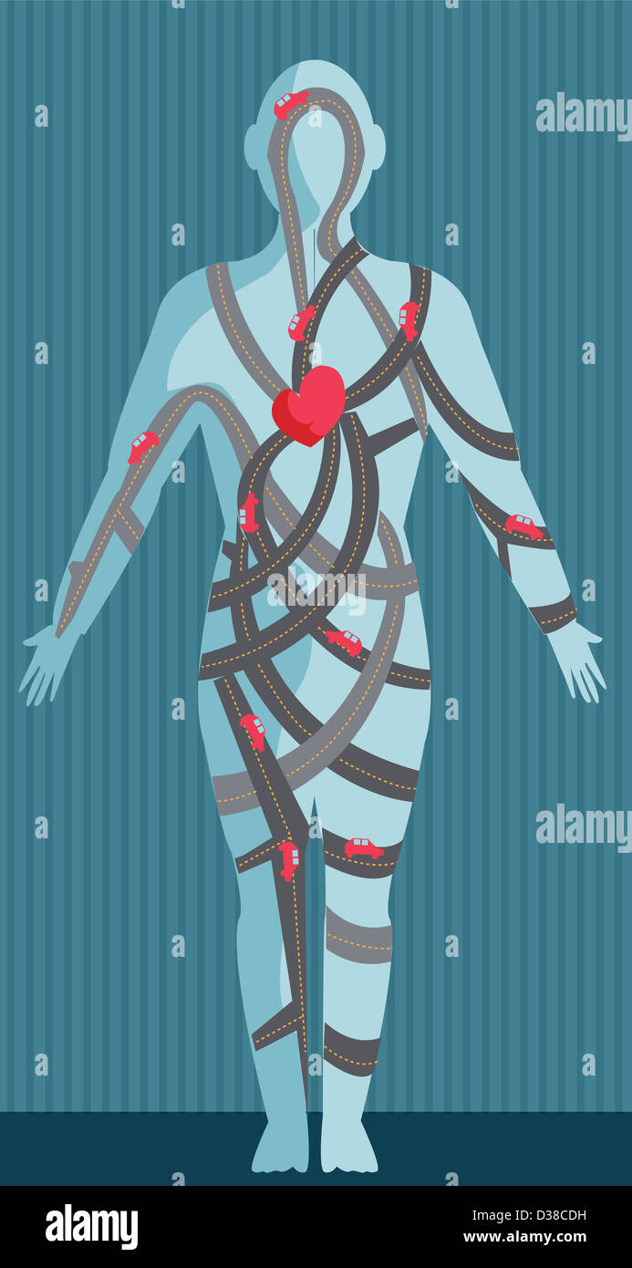Immagine illustrativa di umana diagramma che rappresenta la circolazione del sangue del corpo umano Foto Stock