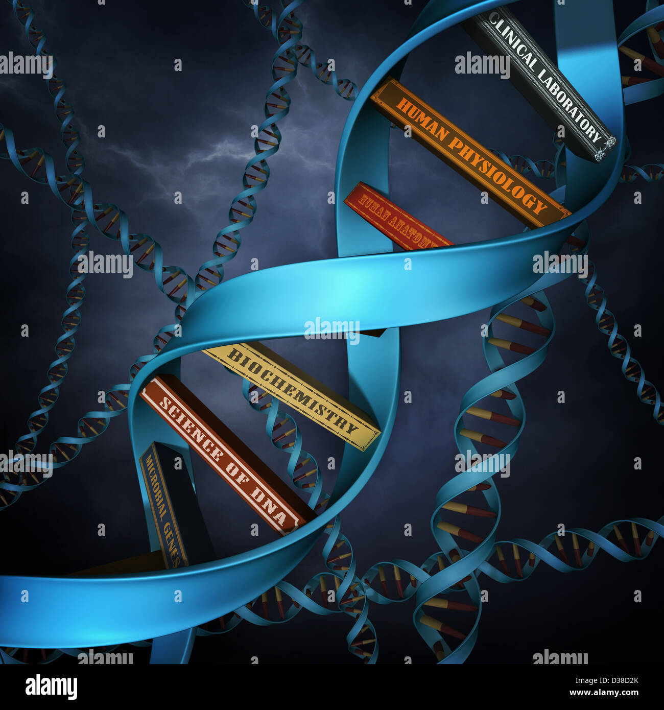 Immagine illustrativa della replica del DNA con libri Foto Stock