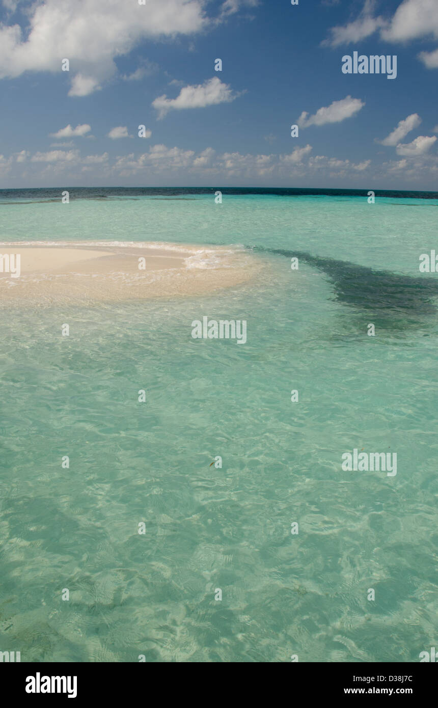 Belize, Mar dei Caraibi. Goff Caye, una piccola isola a Riva del Belize City, il Belize lungo la barriera corallina. Sandbar. Foto Stock