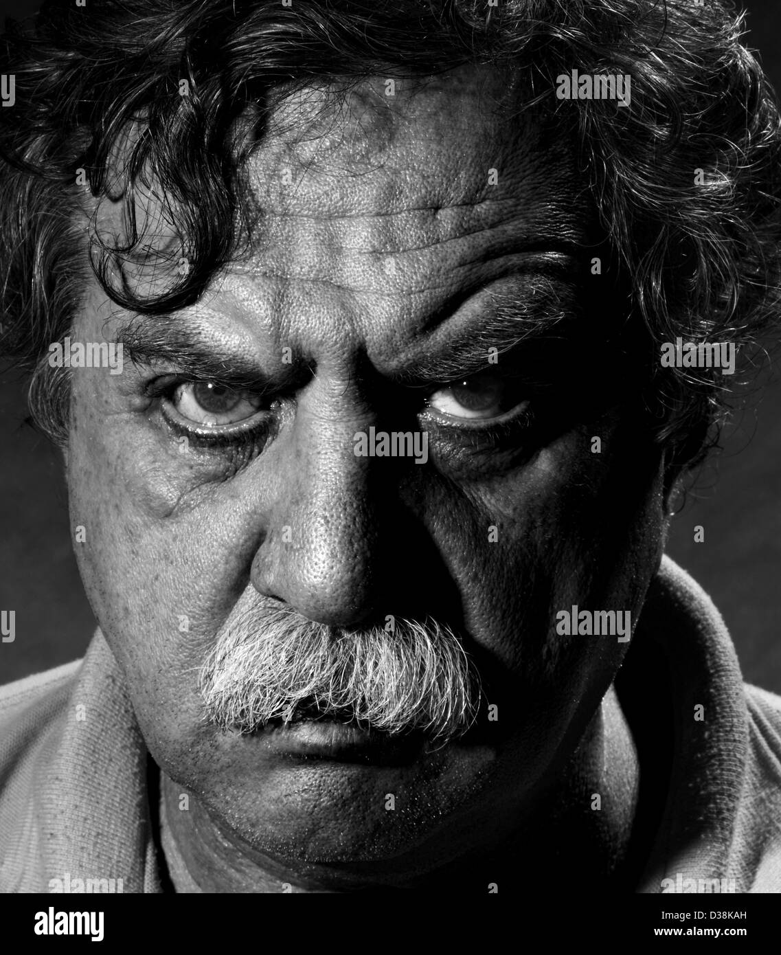 Ritratto in studio di uomo di mezza età, in bianco e nero Foto Stock