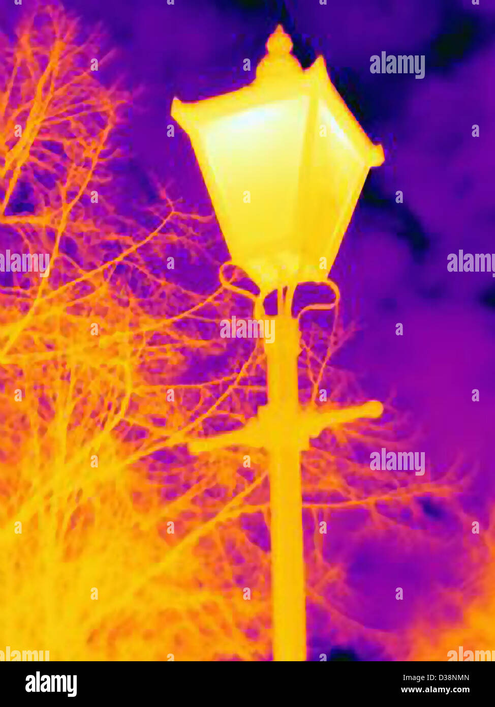 Immagine termica del lampione e alberi Foto Stock