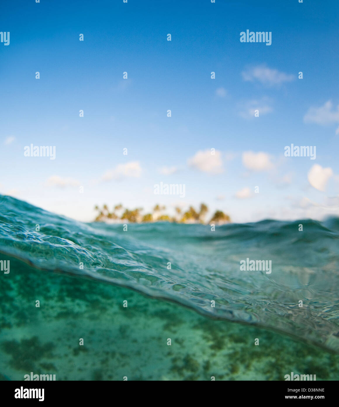 Close up di onde in acque tropicali Foto Stock