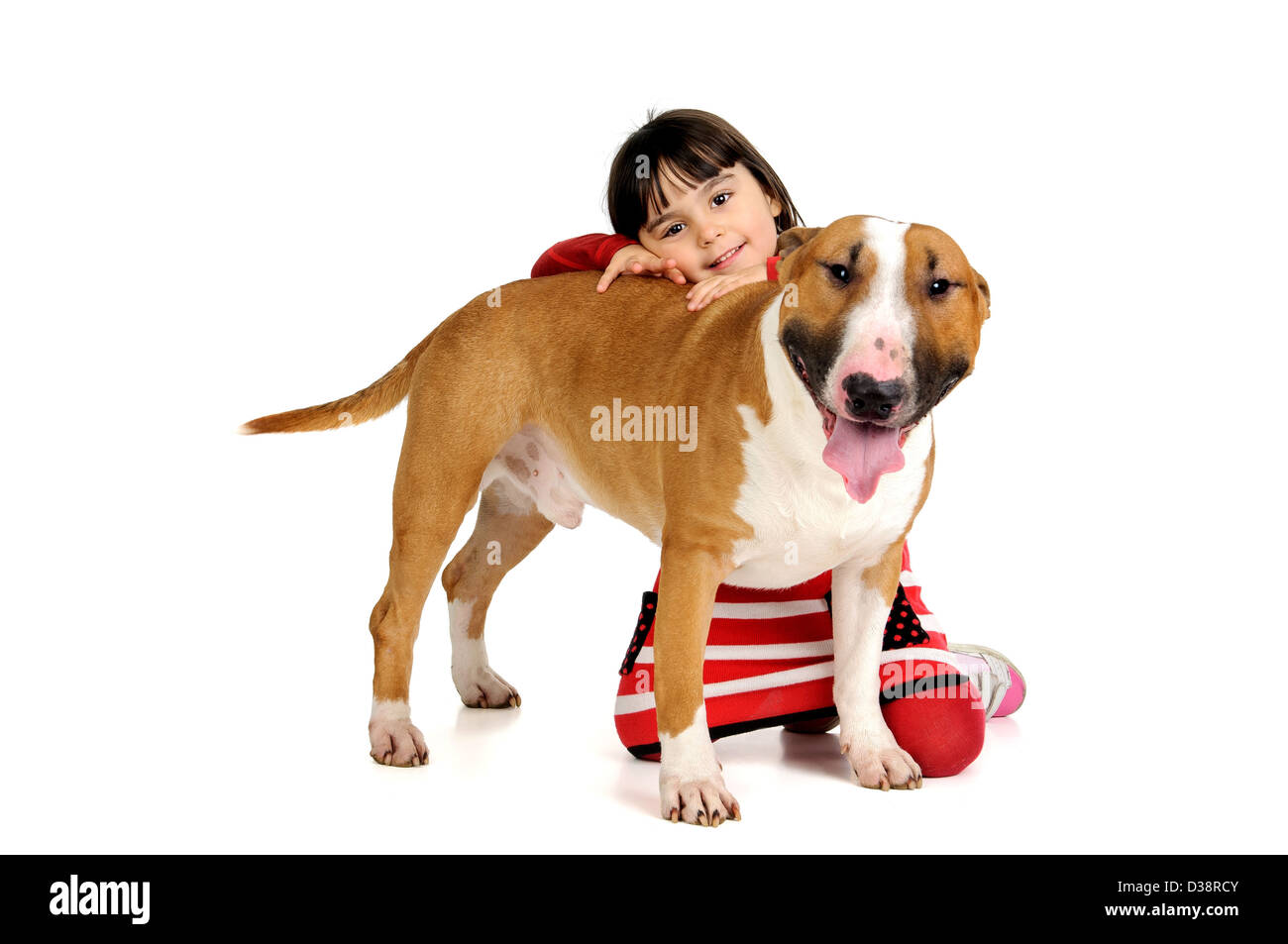 Carino giovane ragazza in posa con il suo Bull Terrier Foto Stock