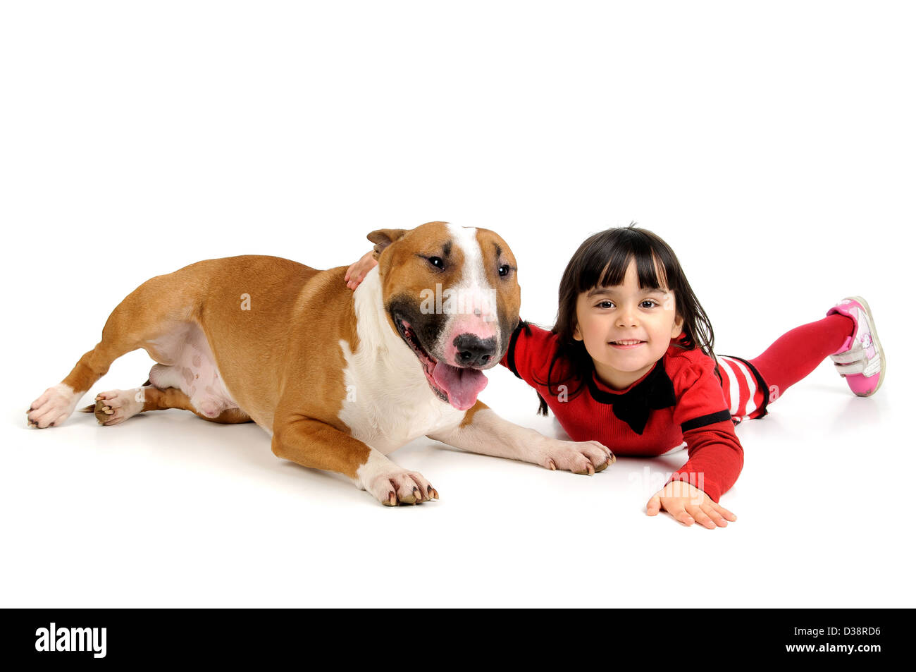 Carino giovane ragazza in posa con il suo Bull Terrier Foto Stock